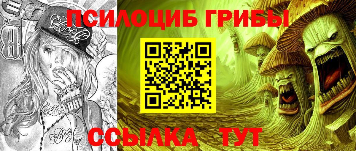 Псилоцибиновые грибы прущие грибы Орехово-Зуево